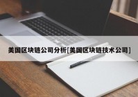 美国区块链公司分析[美国区块链技术公司]