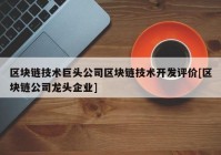 区块链技术巨头公司区块链技术开发评价[区块链公司龙头企业]